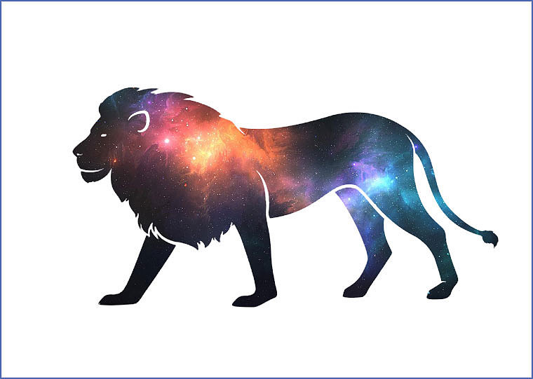 18个动物星空重叠图形妙趣