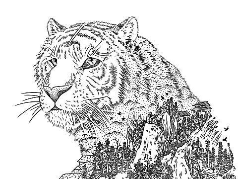 生肖插画