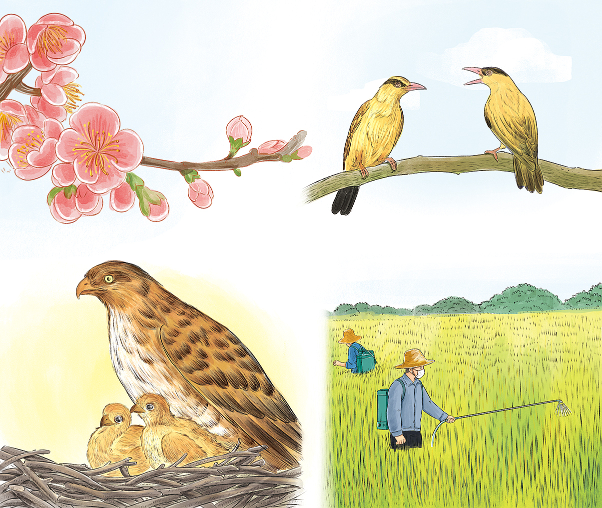 24节气习俗，传统美食-春夏合集（图ZMjg1MjA3OTYw） - 绘本 - 站酷设计师白廷原创素材 - 站酷ZCOOL