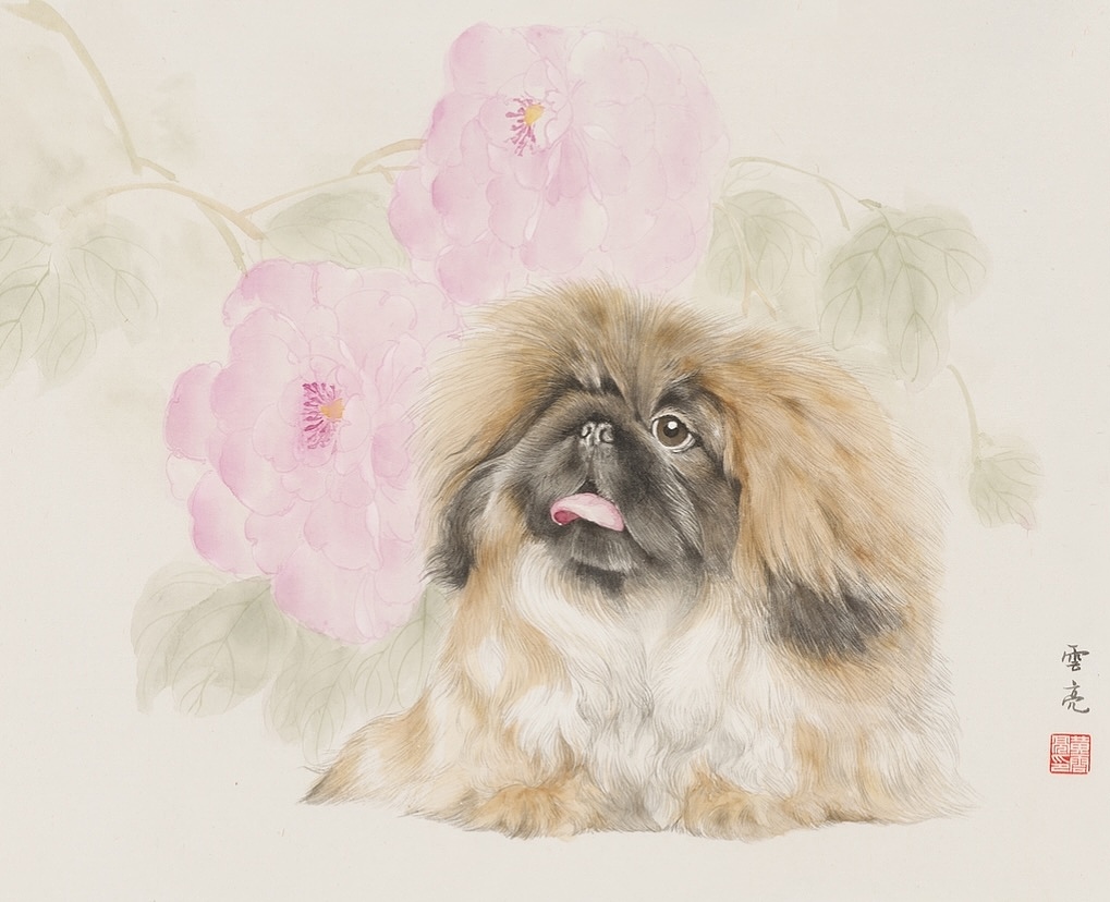 富贵牡丹北京犬 国画画狗