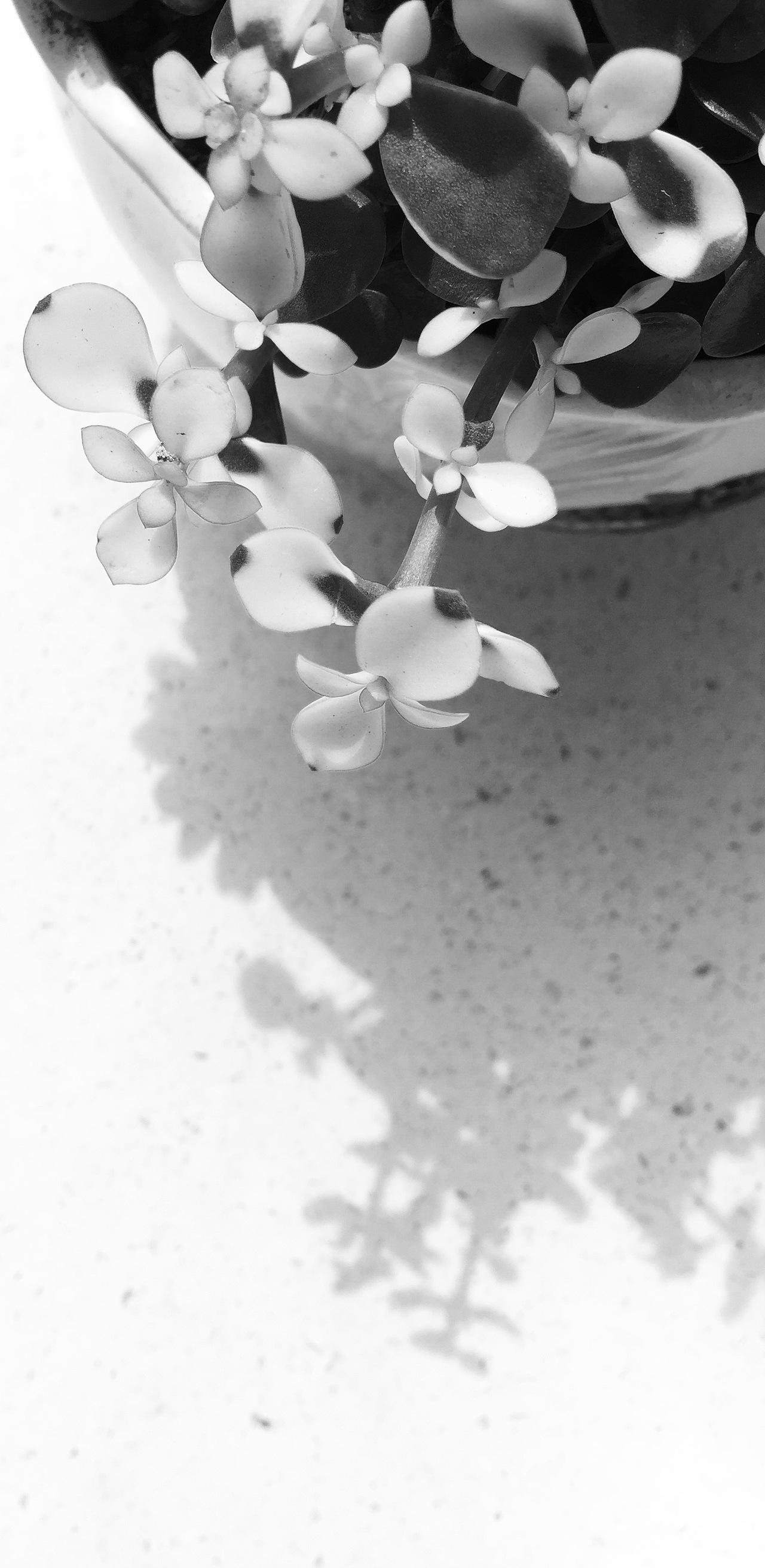 辦公室（圖ZMTA3NDUwNjAw） - 產(chǎn)品攝影 - 站酷設計師123www123原創(chuàng)素材 - 站酷ZCOOL