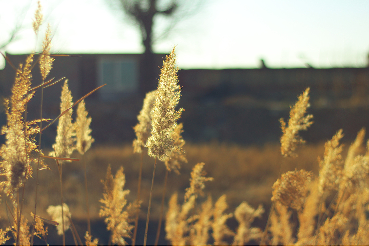 秋（图ZMTI0MjA3MTYw） - 风光摄影 - 站酷设计师ma675055787原创素材 - 站酷ZCOOL