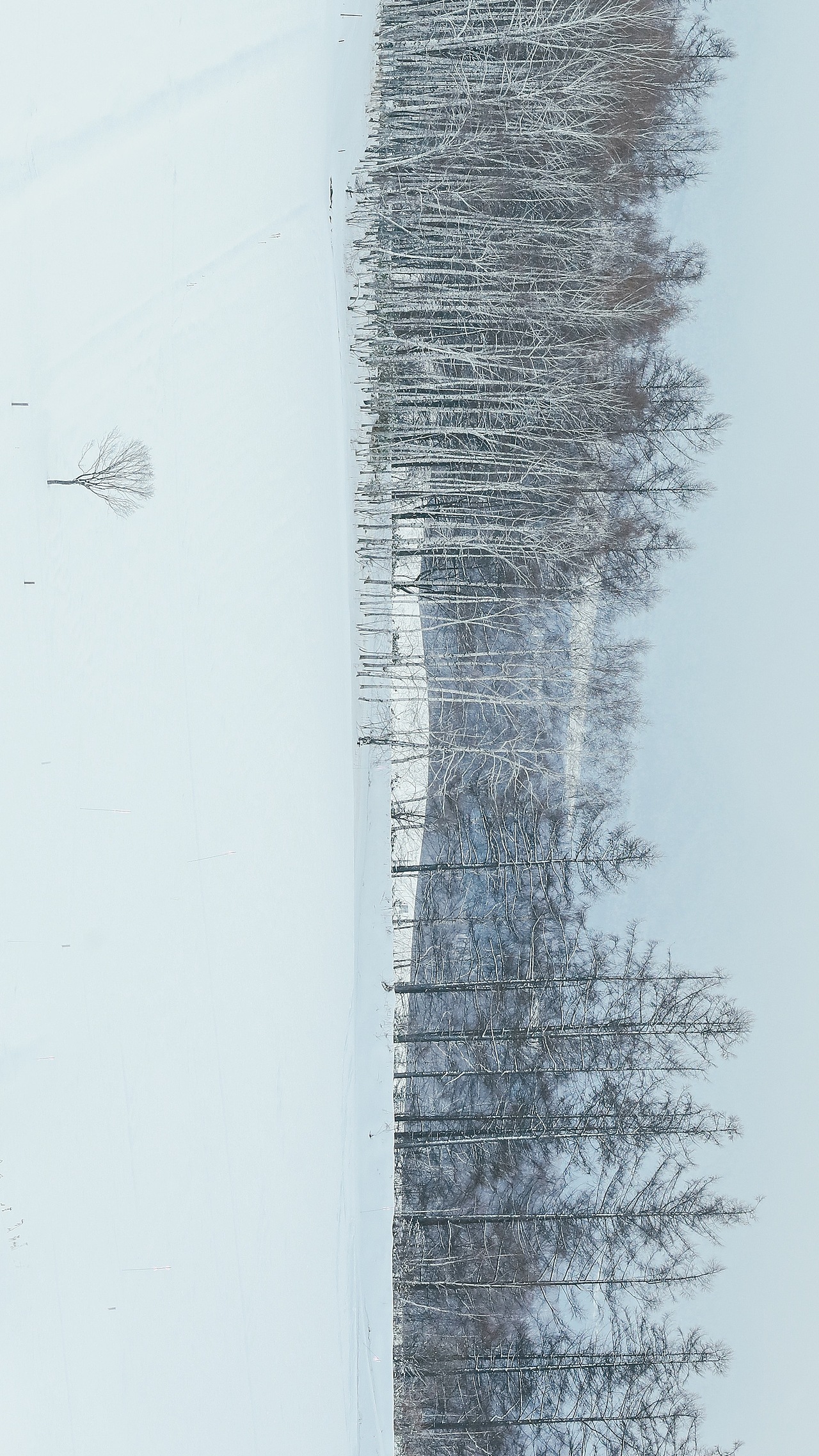 北海道小樽，出发，只为旧路还家  