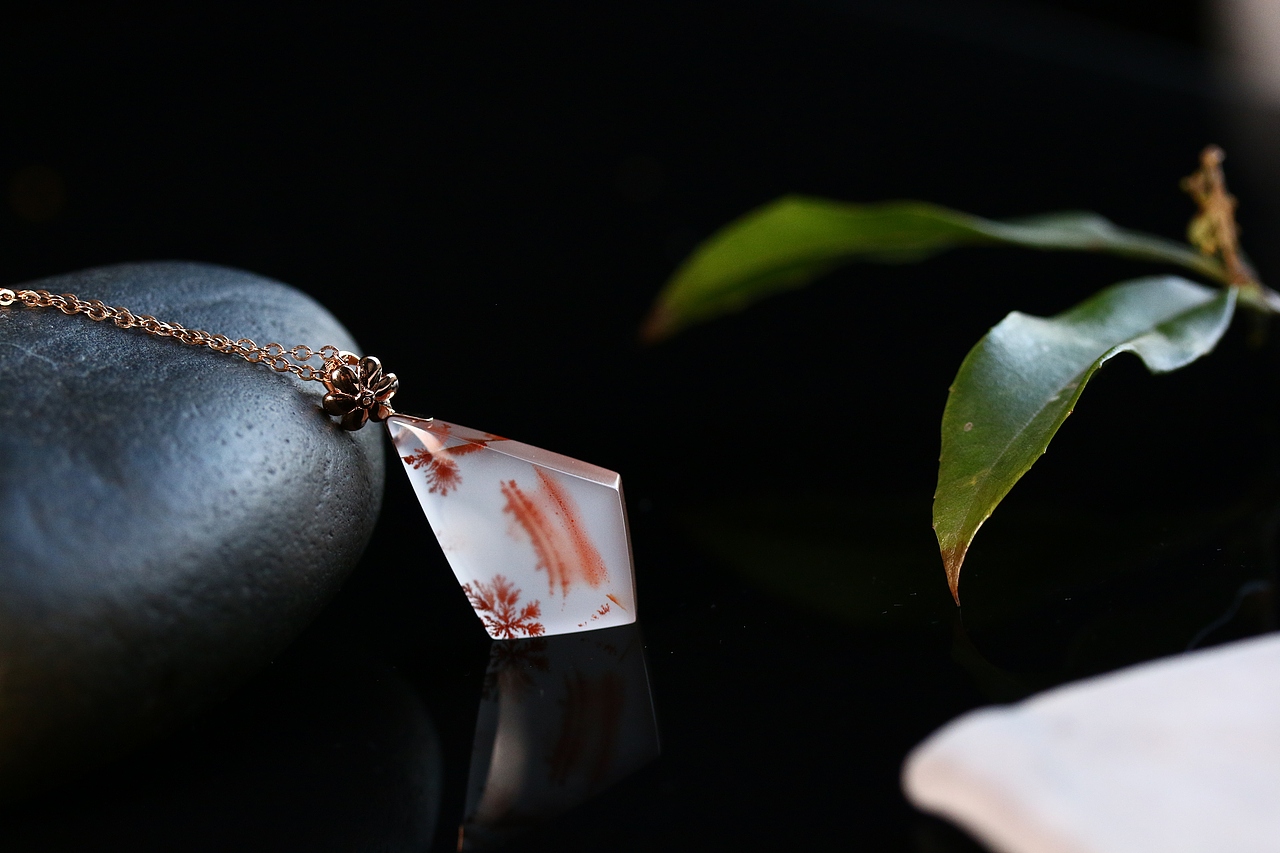 南红摄影----【青春不知笼中鸟,岁月深处又相逢】