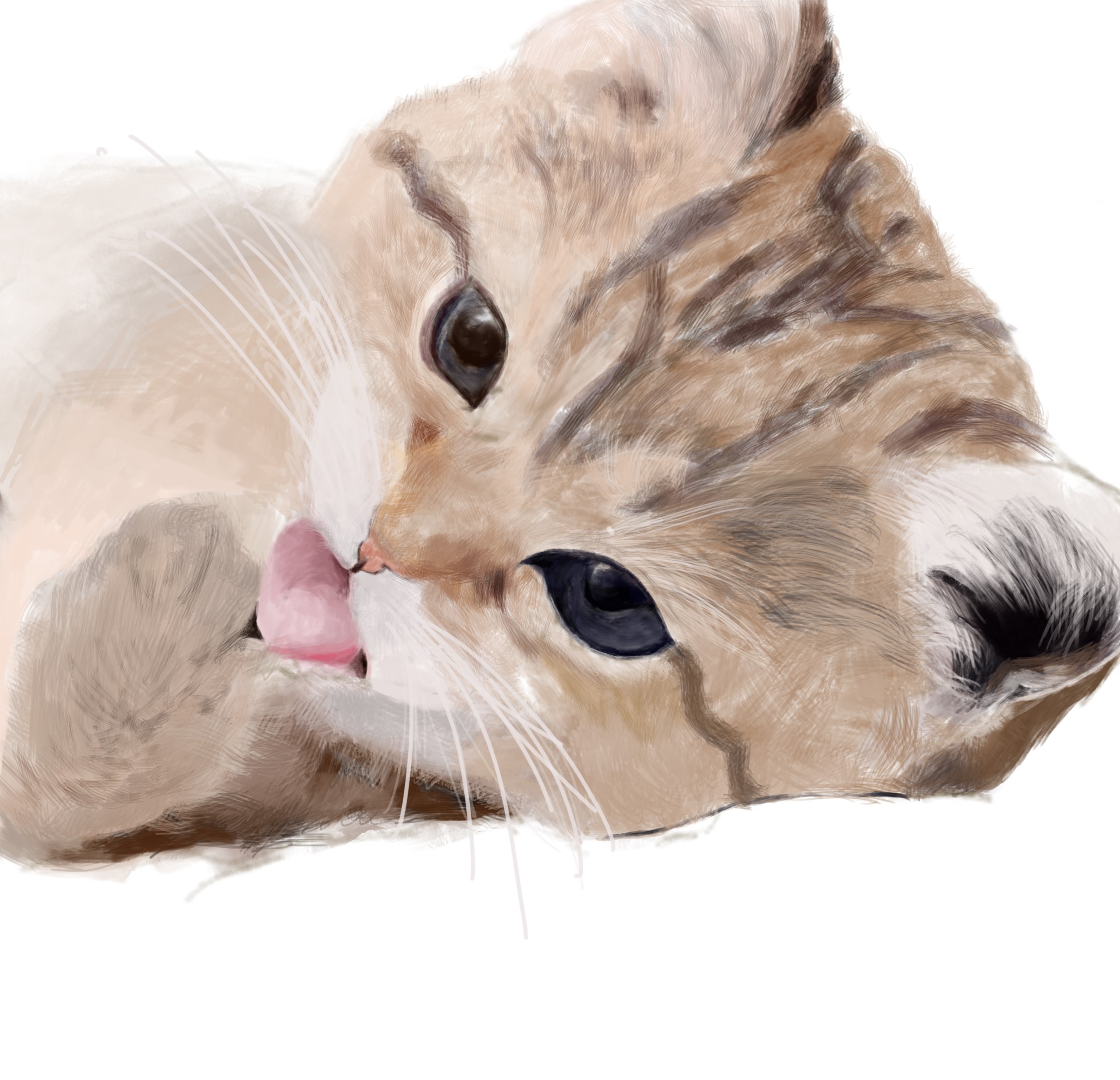 板绘小狗狗小猫咪