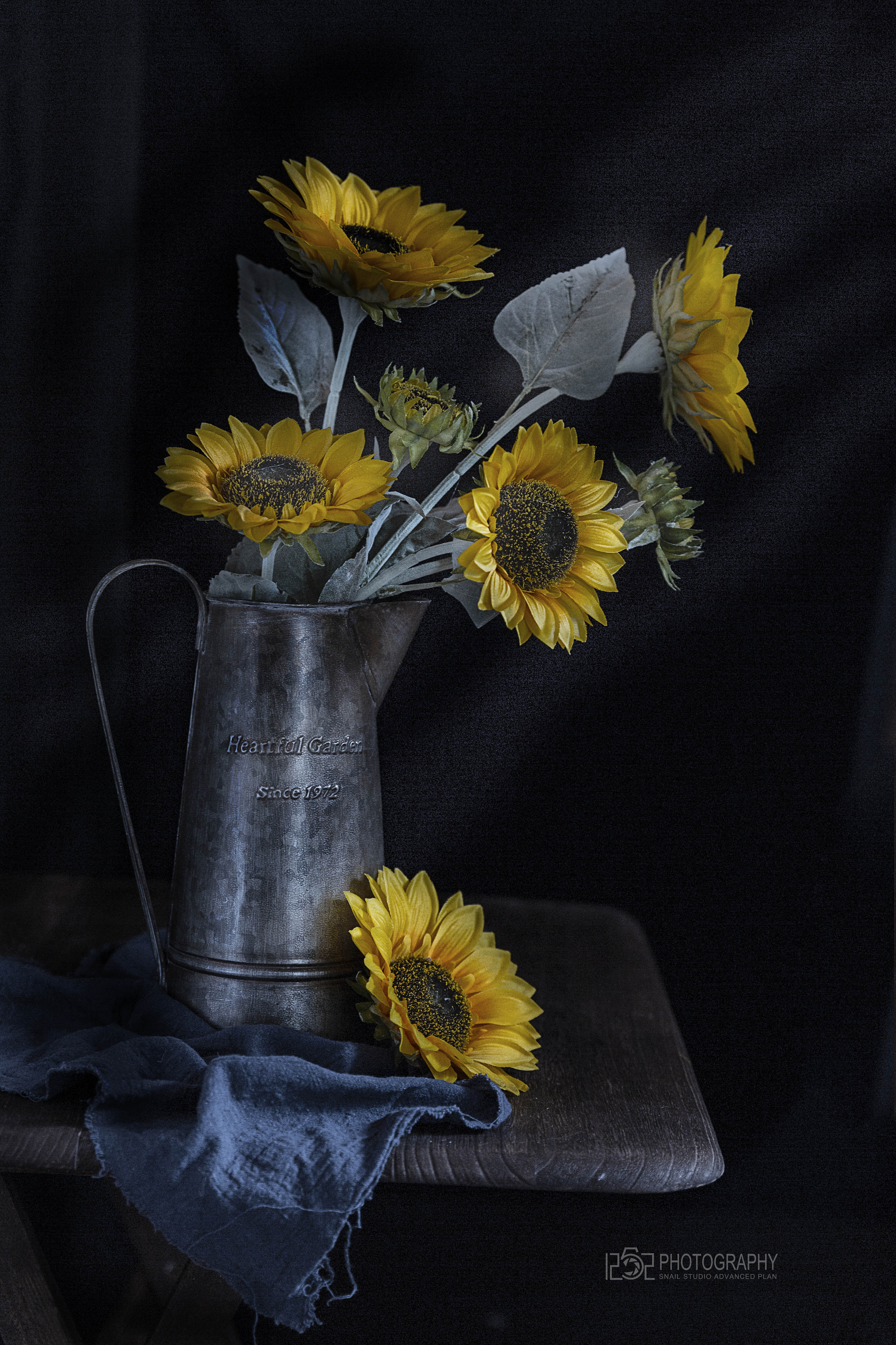 花|摄影|静物|zhupo - 原创作品 - 站酷 (zcool)