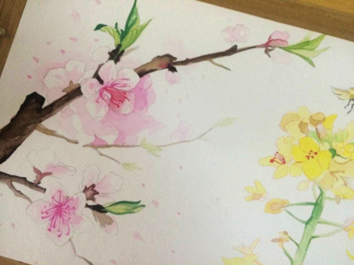 水彩画练习-春花（图ZNzUzNzU5MjA=） - 商业插画 - 站酷设计师xiaohulu原创素材 - 站酷ZCOOL