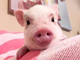 參賽獲獎作品 有關(guān)環(huán)保的海報 