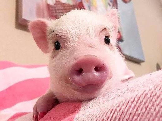 参赛获奖作品 有关环保的海报 