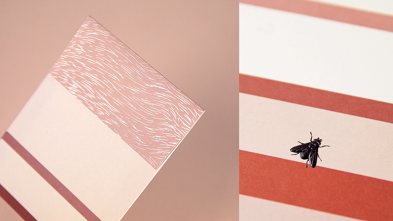 悟形VDG / 过分了红包