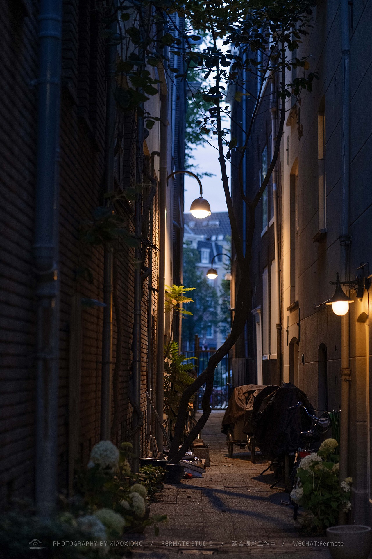 荷兰必去景点打卡