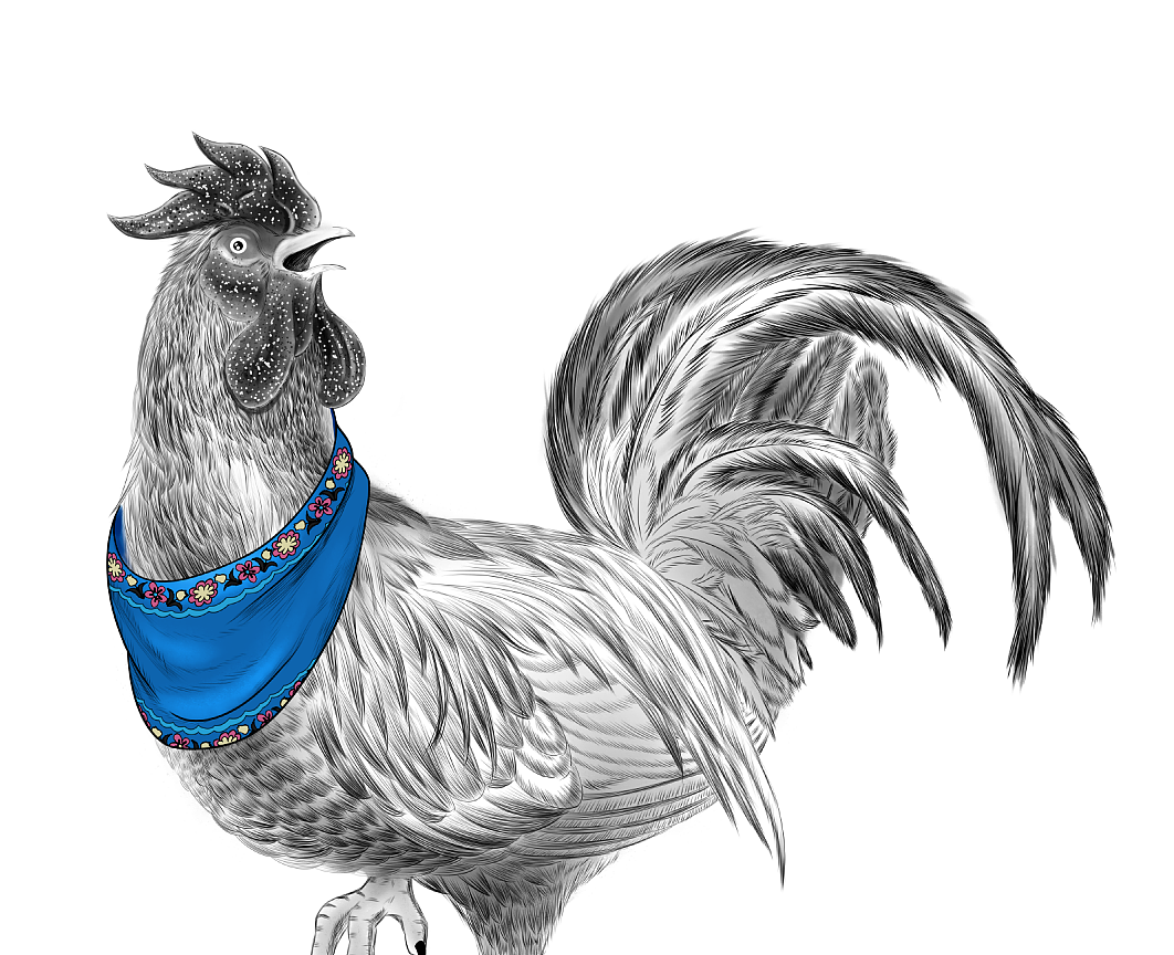 鸡|插画|商业插画|似曾相识你归来 - 原创作品 - 站酷 (zcool)