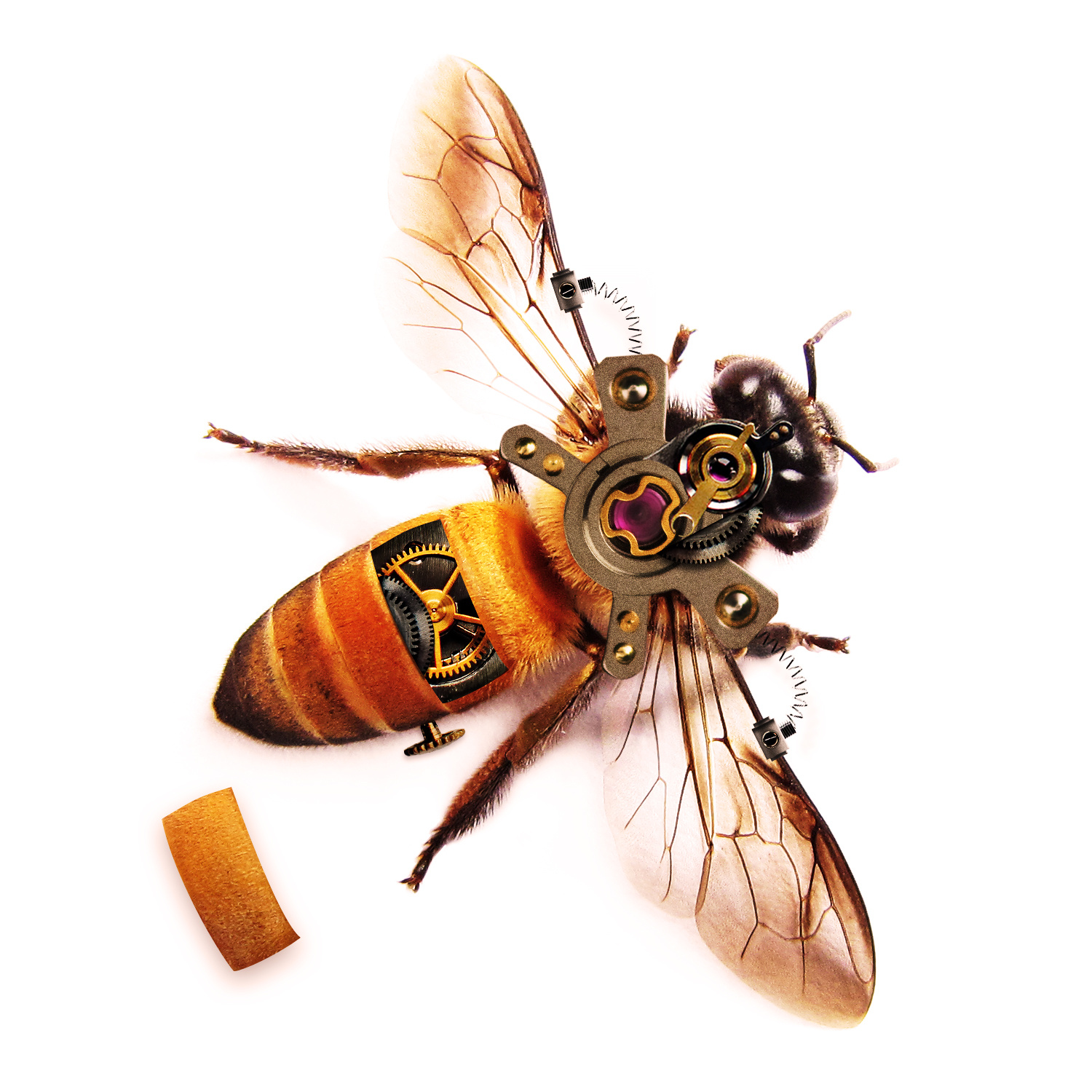 机械蜜蜂一枚
