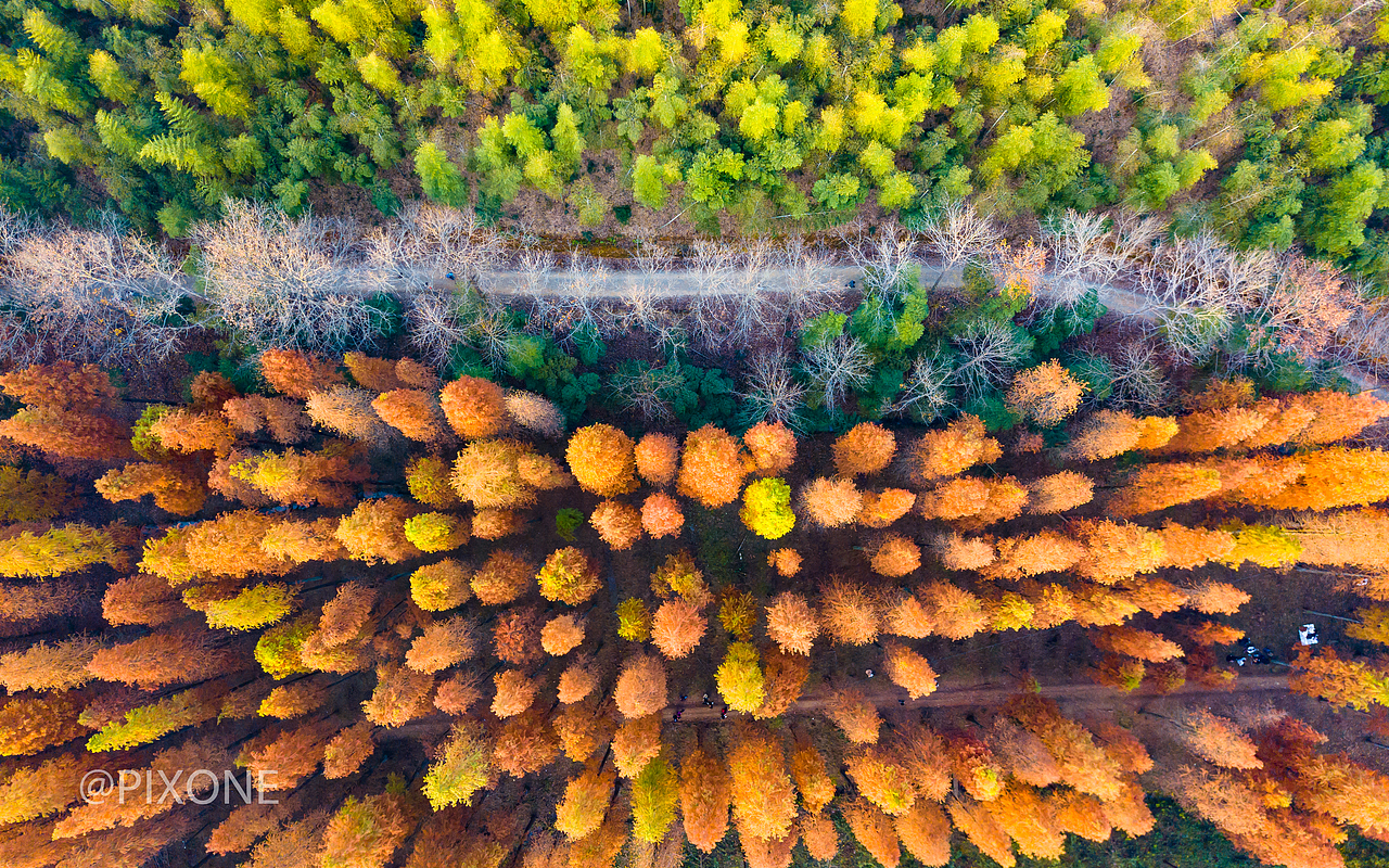 秋去春来（图ZMTM3OTU4MDQw） - 风光摄影 - 站酷设计师PIXONE原创素材 - 站酷ZCOOL