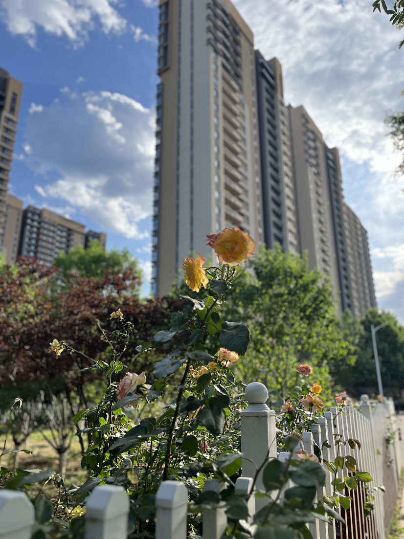 日常拍摄（图ZMzQwOTQ2MzUy） - 风光摄影 - 站酷设计师Z27623945原创素材 - 站酷ZCOOL