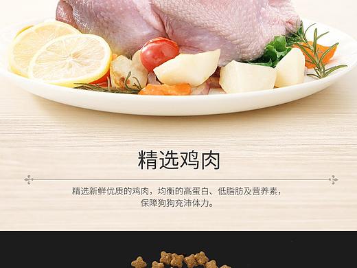 狗粮详情