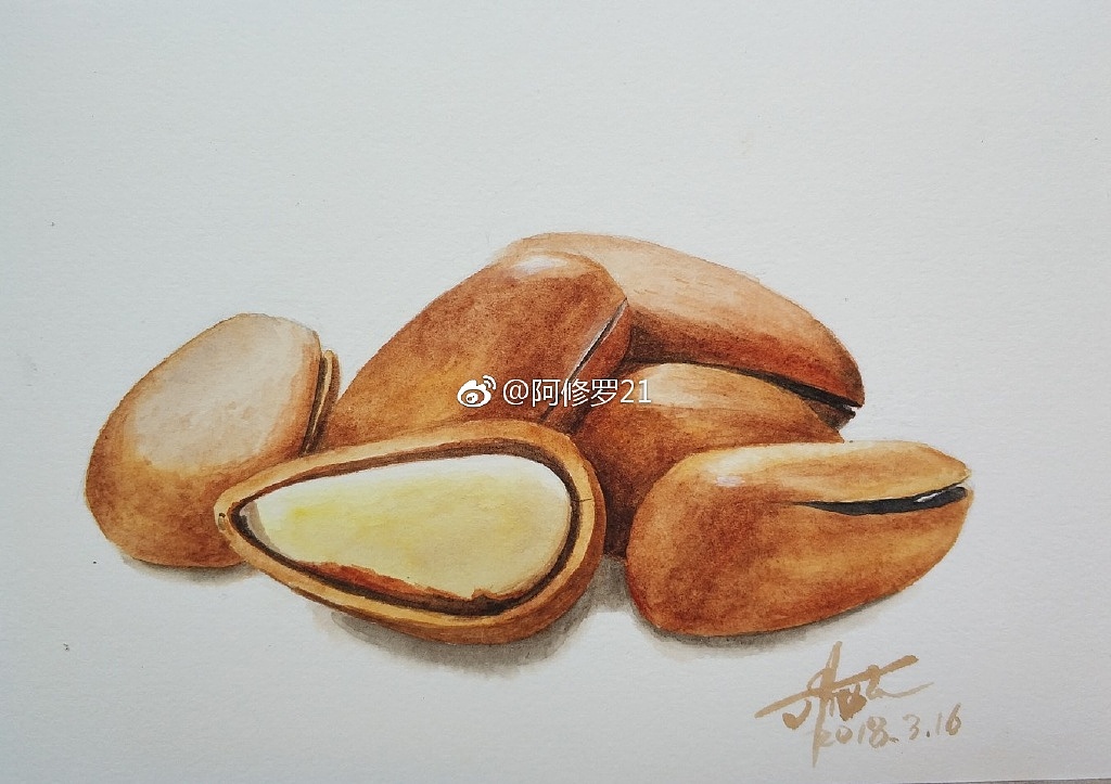 水彩坚果（图ZMTU1ODQxNzA0） - 绘画 - 站酷设计师阿修罗21原创素材 - 站酷ZCOOL