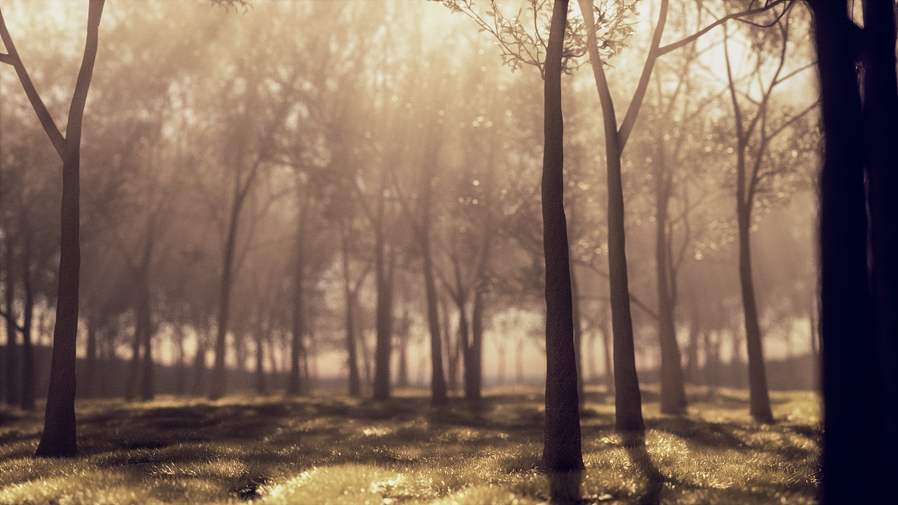 Plants, hope and light