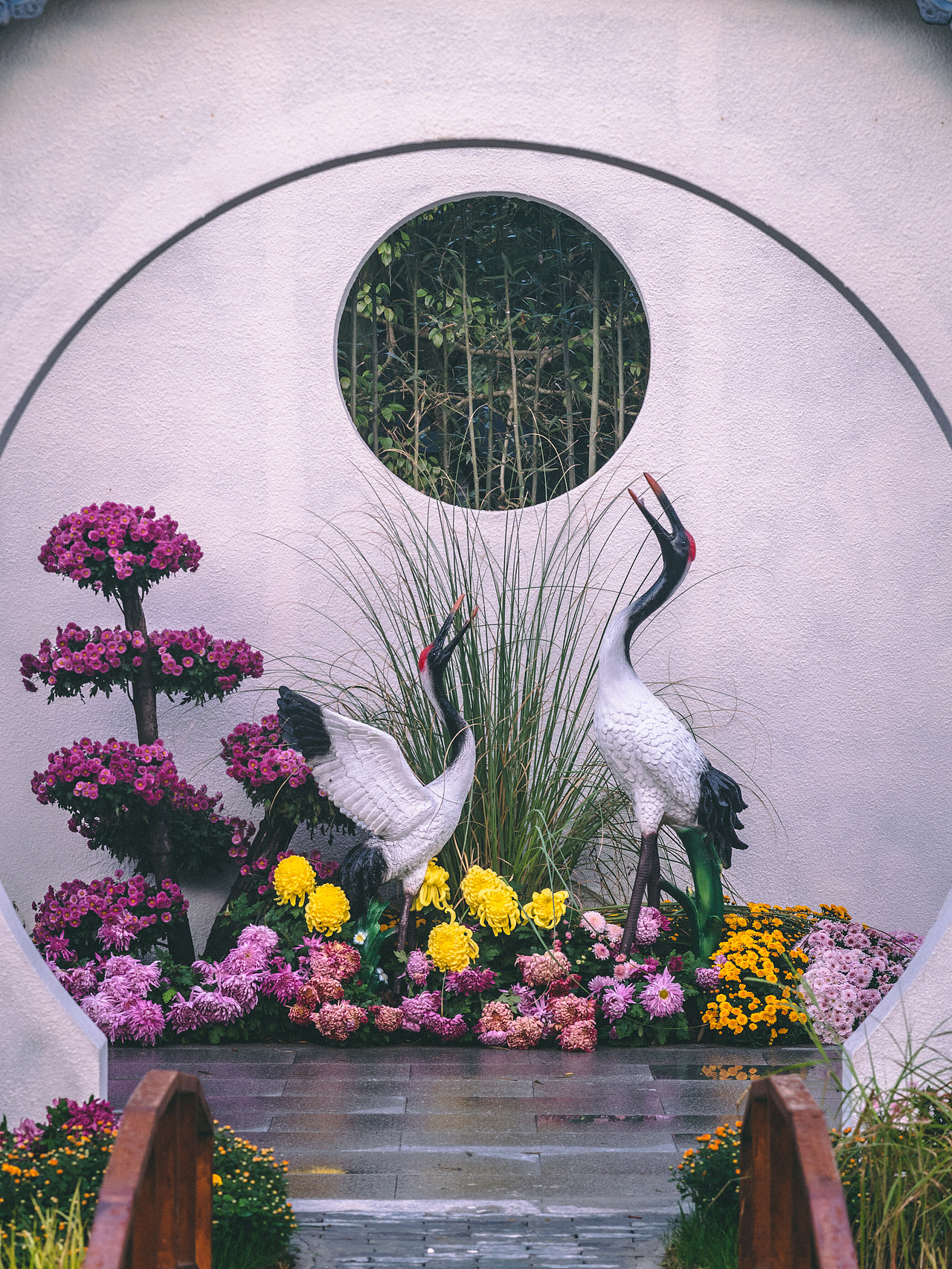 共青森林公园秋天的景色