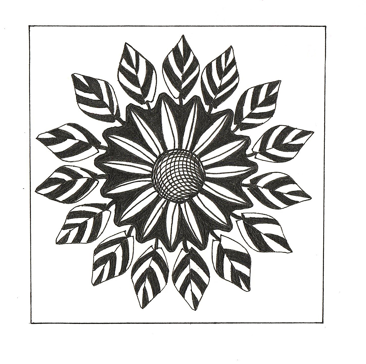 图形创意作业黑白装饰画作业图案动物变形作业人物图案变形作业不锈钢