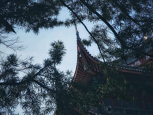 【杭州一日游好去处】杭州灵隐寺周末一日游，摄影学习