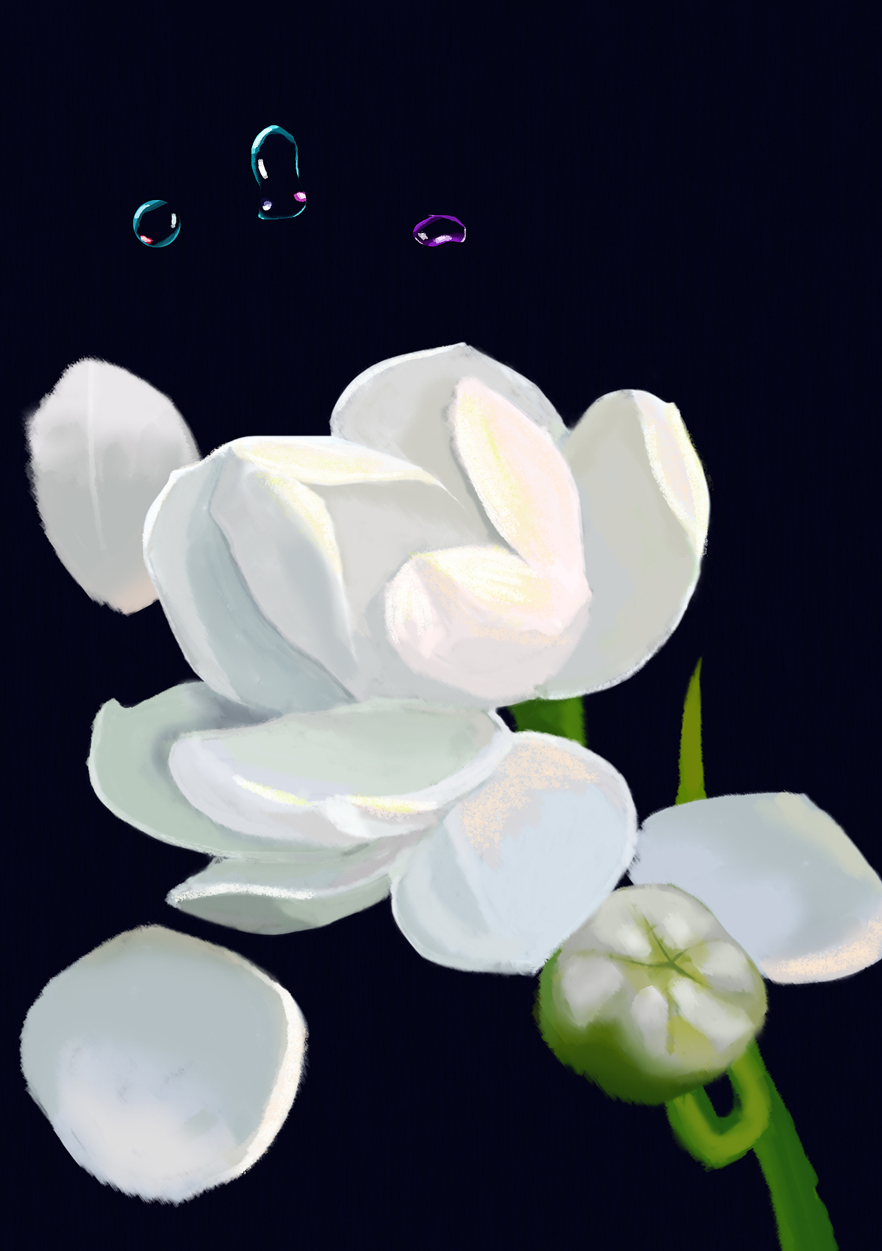 好一朵美丽的茉莉花