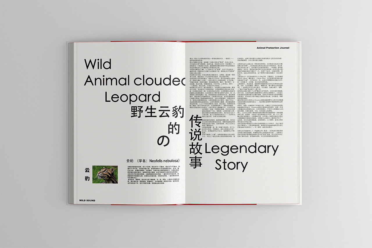 【野声】野生动物保护杂志（图ZMjY5OTkzMTcy） - 书籍/画册 - 站酷设计师狄窦原创素材 - 站酷ZCOOL