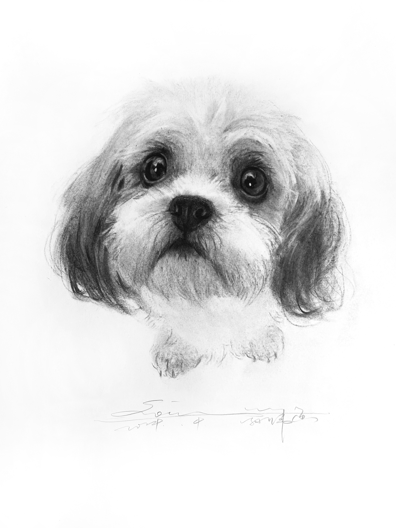 黑白插画也可以很好看不是吗？