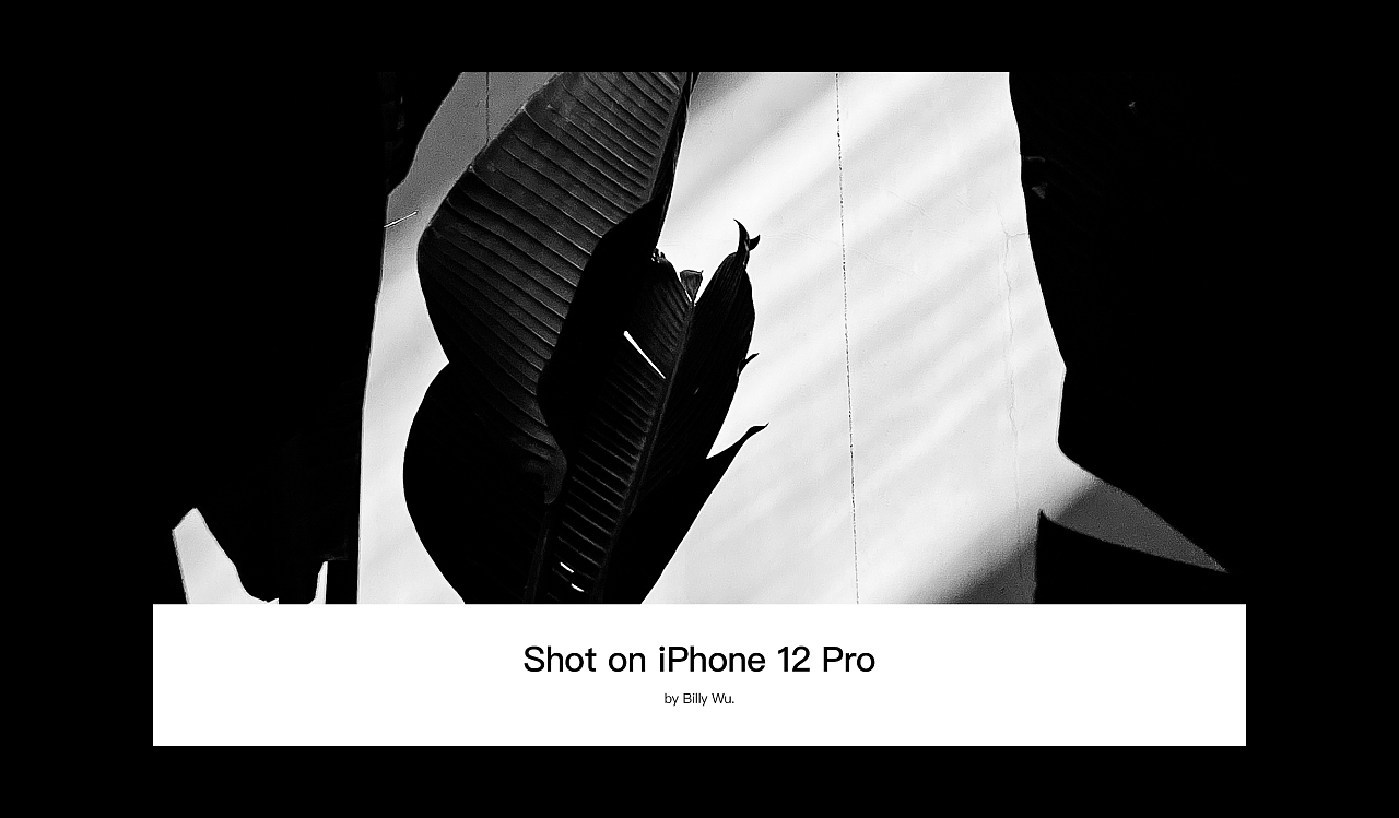 iPhone 12 pro拍摄的日常0623