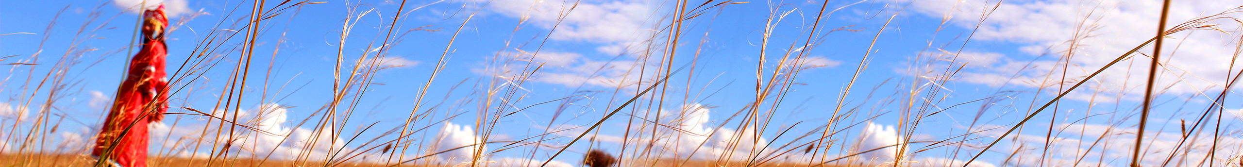 不言xie的個(gè)人主頁(yè)（封面預(yù)覽） - 主頁(yè)封面設(shè)置 - 站酷設(shè)計(jì)師不言xie原創(chuàng)素材 - 站酷ZCOOL
