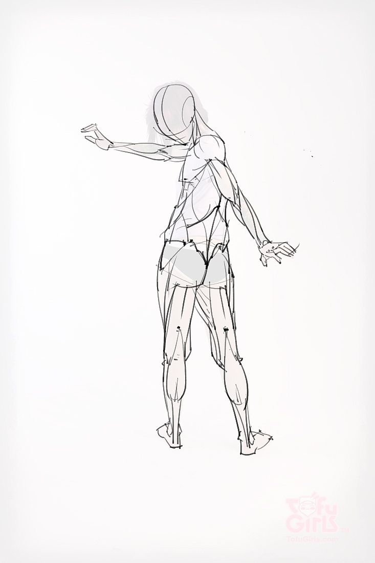 「素材」分享一波绘画专用人体解剖素材 part 09