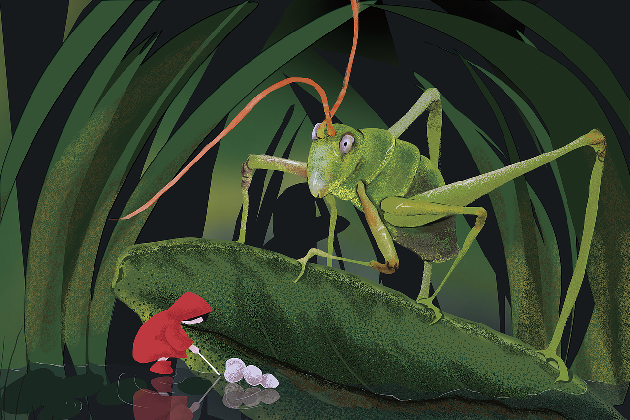 红斗篷的小世界（图ZMTY0OTIyNDg4） - 绘本 - 站酷设计师正咚咚原创素材 - 站酷ZCOOL