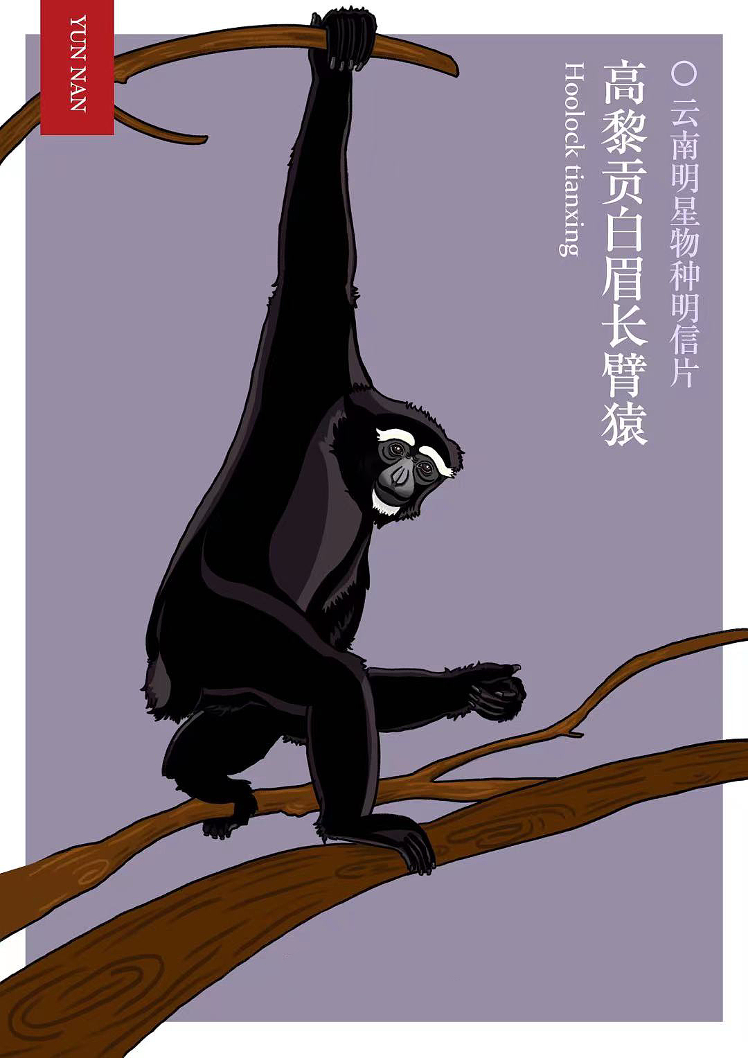 神奇动物在哪里（图ZMjczODA2ODMy） - 商业插画 - 站酷设计师沙子什么的原创素材 - 站酷ZCOOL