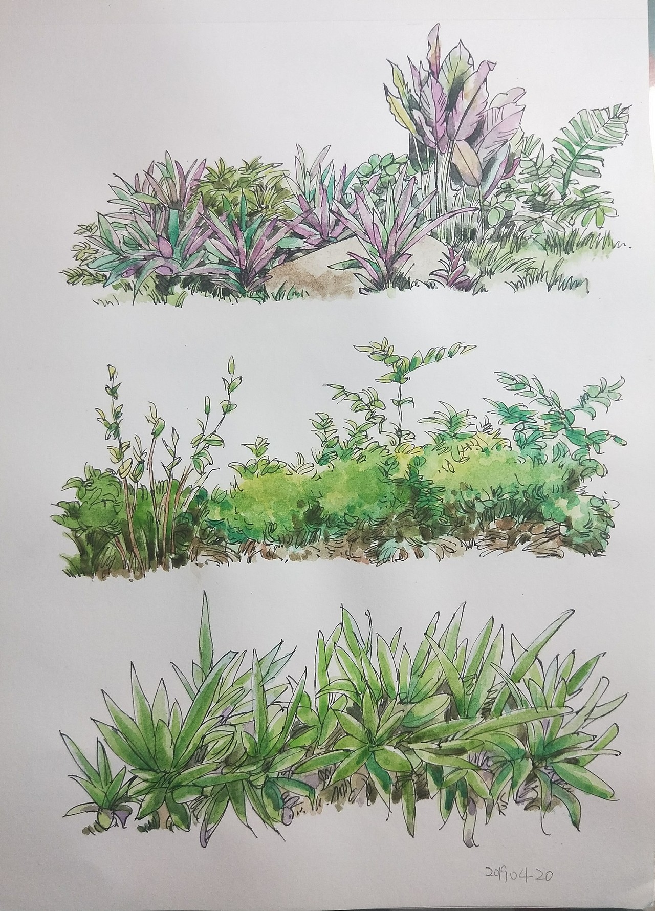 一些速写小练习