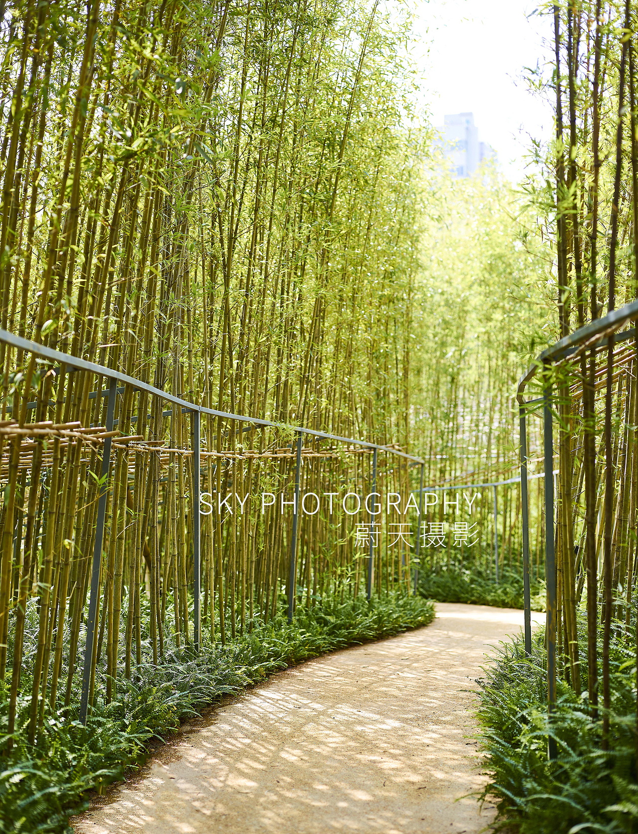 万科·未来森林 | 黄誉蔚建筑摄影