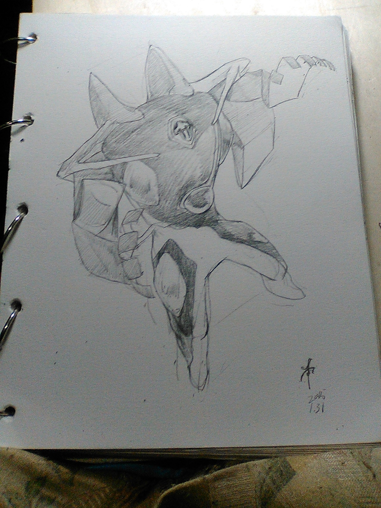 EVA 力天使 水天使