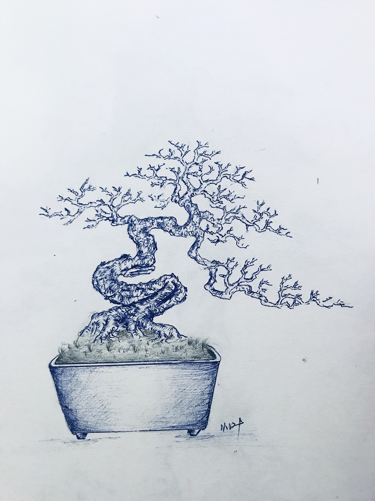 手绘盆景（图ZMjUzMzMyMDA0） - 绘画 - 站酷设计师Z75835907原创素材 - 站酷ZCOOL