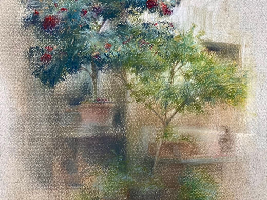 写生茶花