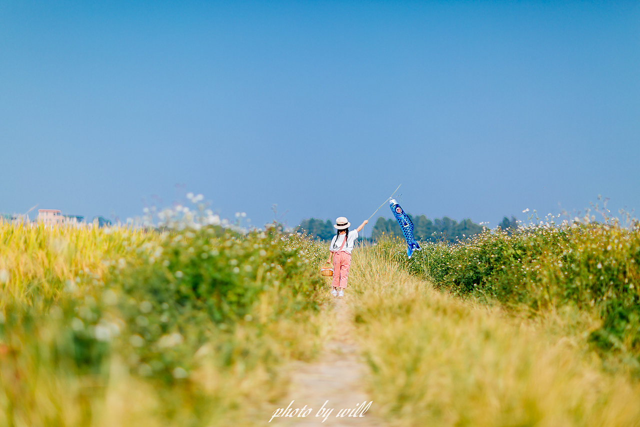 稻香中的微笑（图ZMjQyMzM4NDg0） - 人像摄影 - 站酷设计师斌大Will原创素材 - 站酷ZCOOL