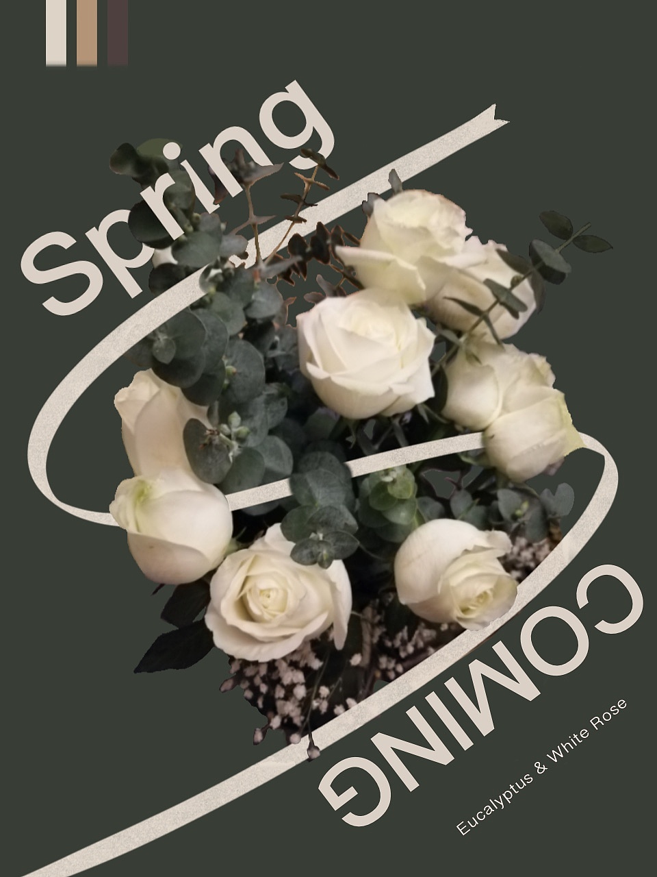 拍个照片做海报