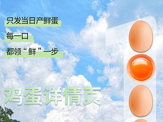 鸡蛋详情（完成）