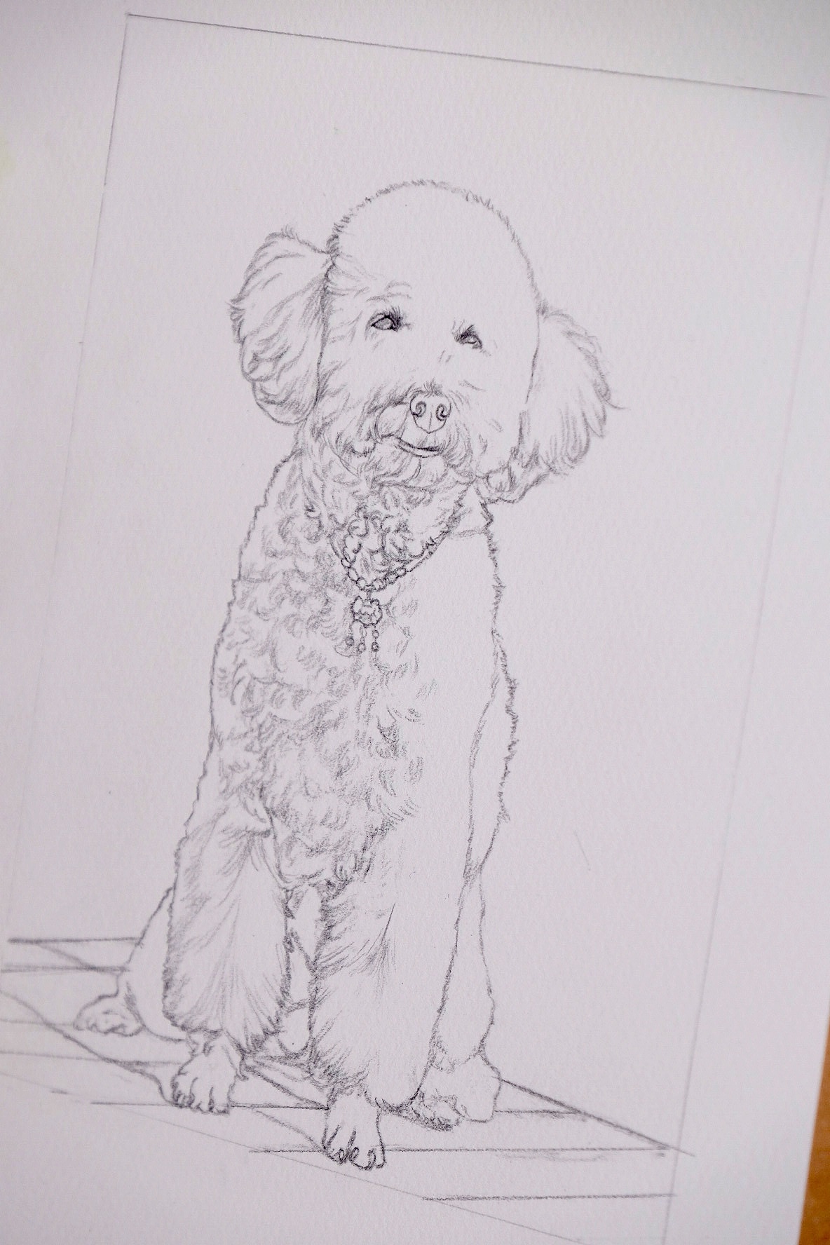 手绘彩铅画《七七和糖糖》