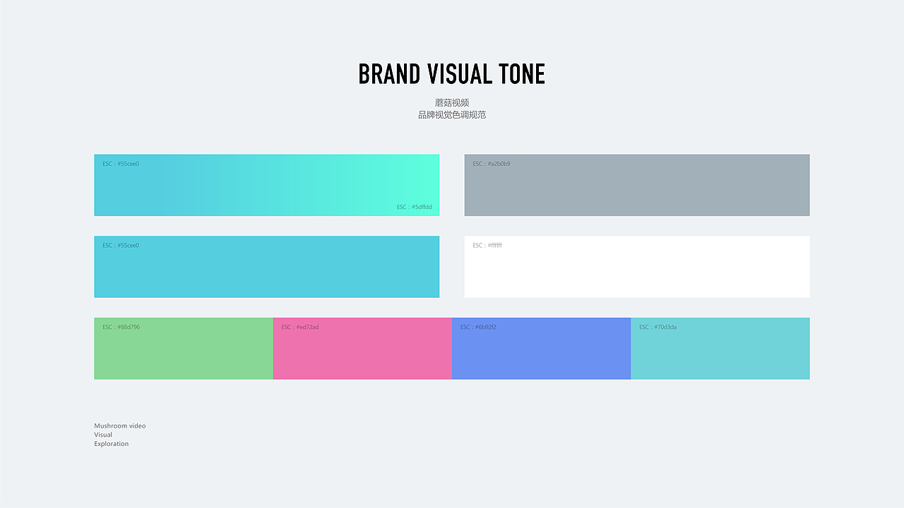 蘑菇视频视觉提案
