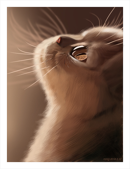 手绘板尝试（图ZMTIyNDMyMDIw） - 创作习作 - 站酷设计师小呀小橙子原创素材 - 站酷ZCOOL