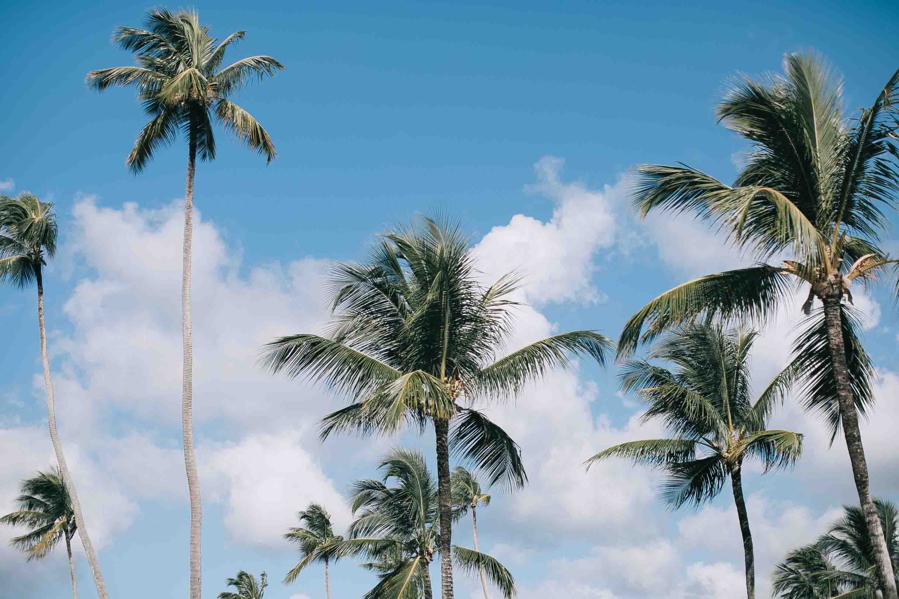 許熙的個人主頁（背景預覽） - 主頁背景設置 - 站酷設計師許熙原創(chuàng)素材 - 站酷ZCOOL