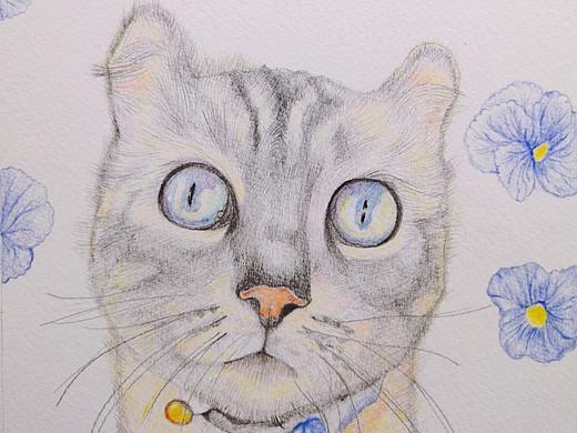 普洱的头像（定制挂牌）（个人主页-ZMzIwMTg4MDg=） - 商业插画 - 站酷设计师lemonkiwifruit原创素材 - 站酷ZCOOL