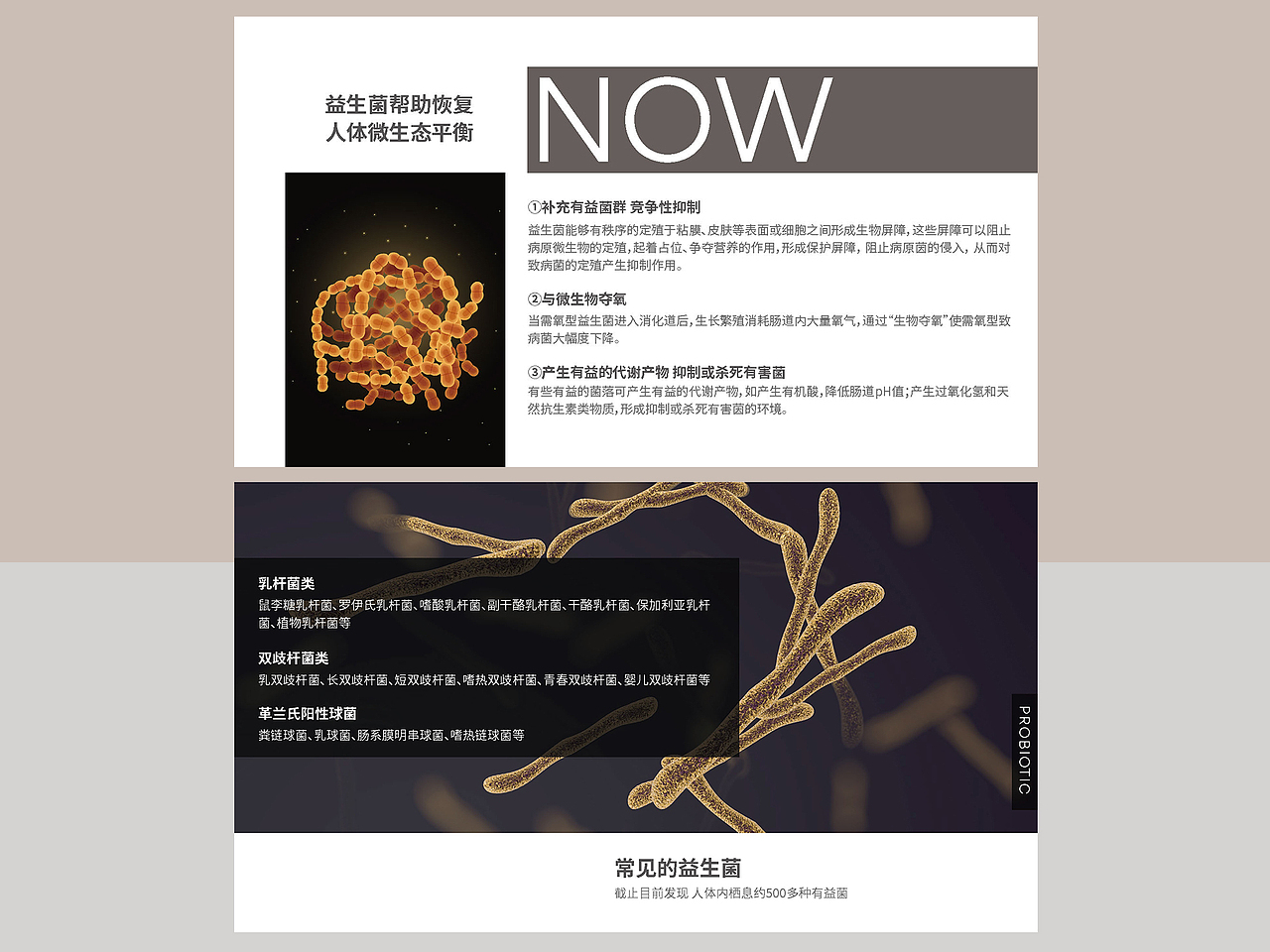 大健康之益生菌及微生态科普PPT排版设计