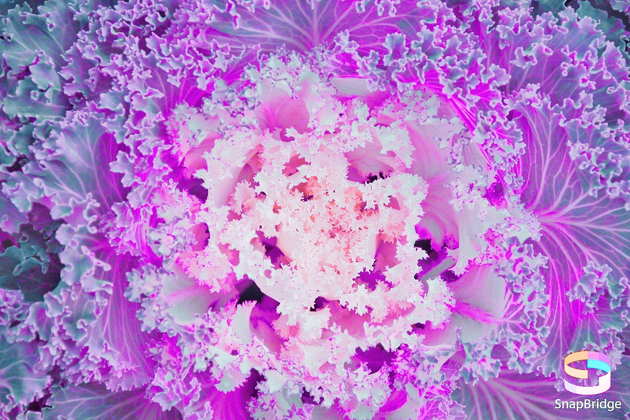 随机（图ZMTg0NTM0MTUy） - 人文/纪实摄影 - 站酷设计师坤意有生原创素材 - 站酷ZCOOL