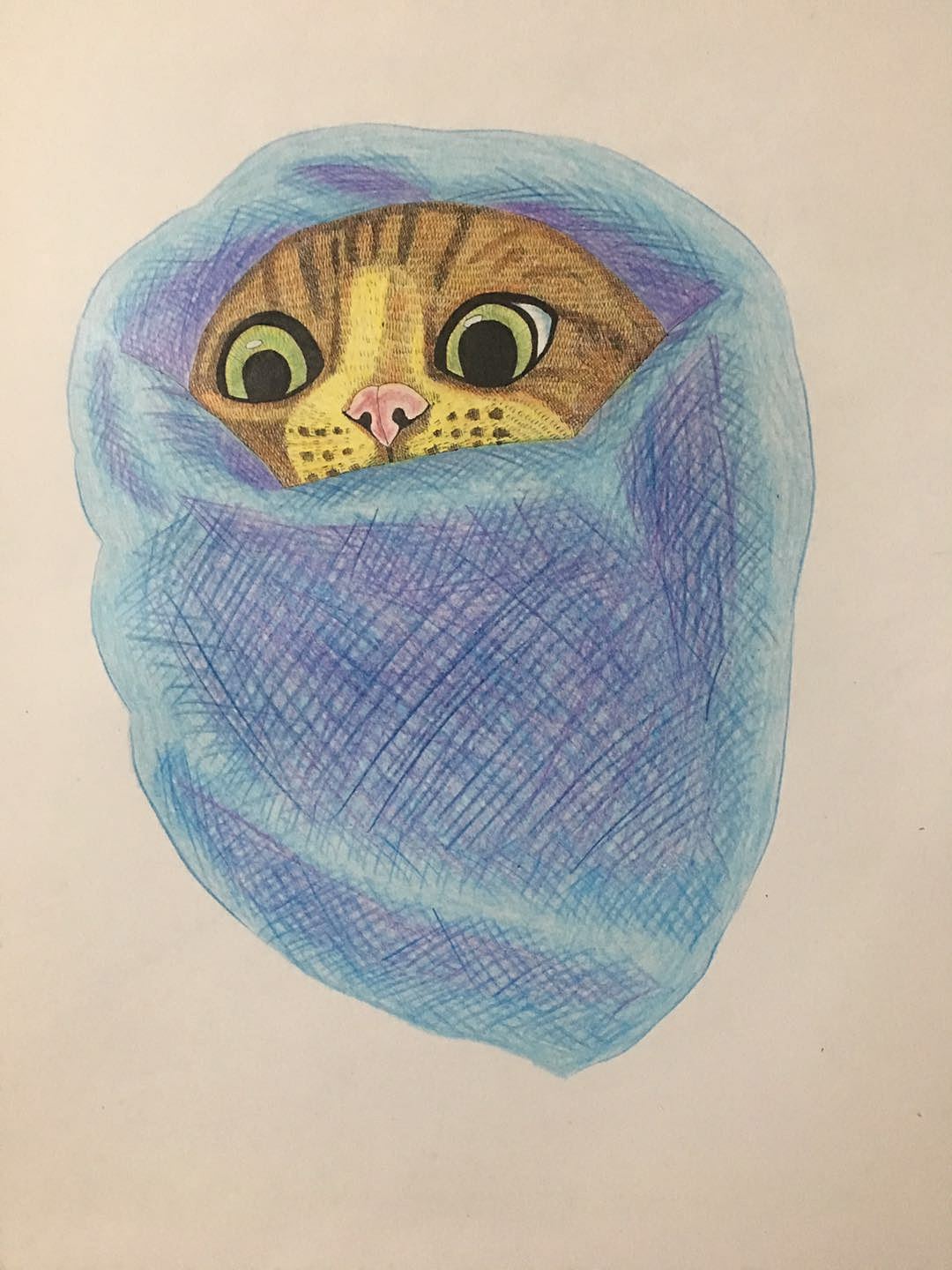 我画的【猫咪】