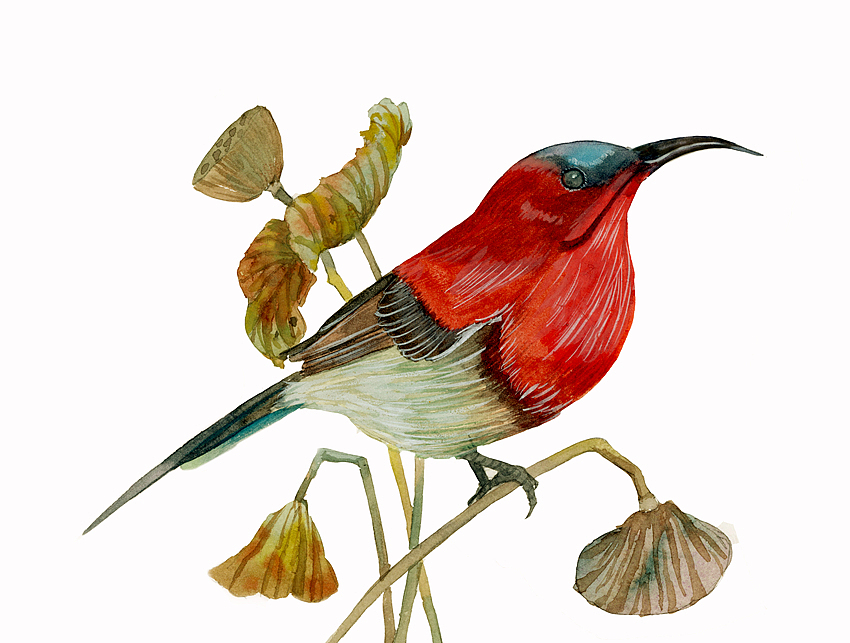 2019年终插画总结（图ZMTkxNDE0OTI4） - 商业插画 - 站酷设计师瑶背背原创素材 - 站酷ZCOOL